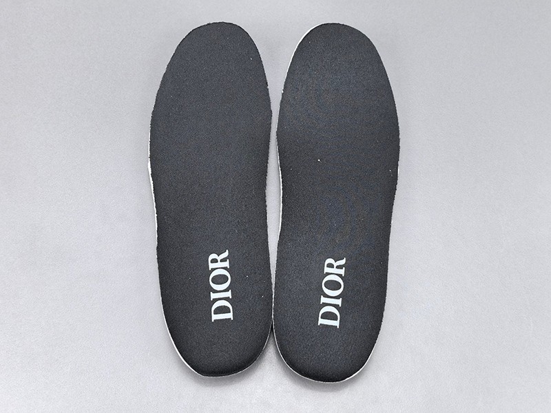 LV Trainer Sneaker 060