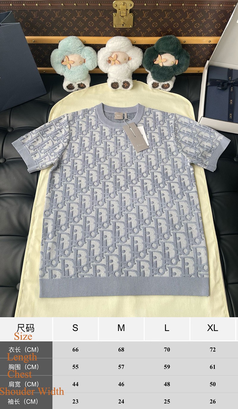 Dior T-shirt 009