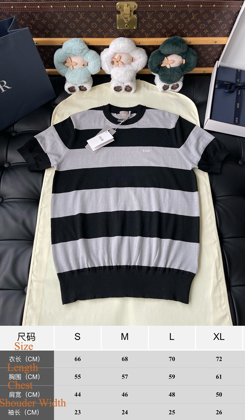 Dior T-shirt 010