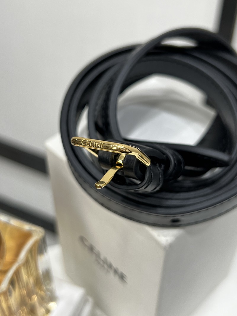 Celine Triomphe Folio L102U3 Black