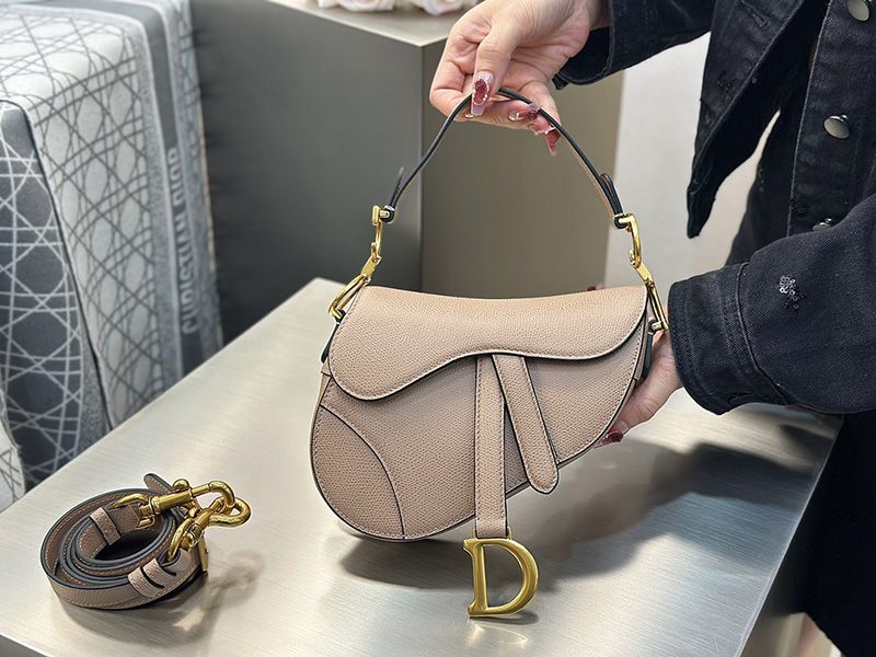 Dior Saddle Handbag Small 002