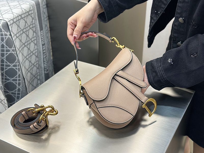 Dior Saddle Handbag Small 002