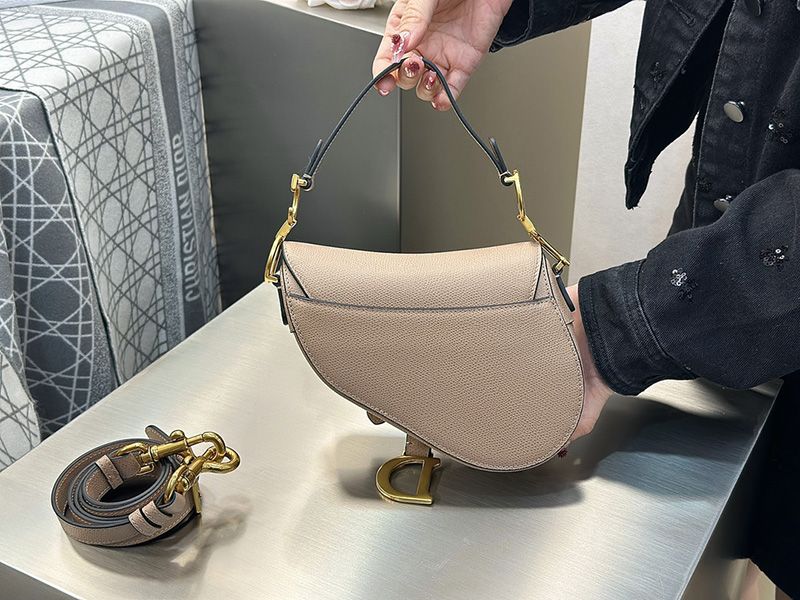 Dior Saddle Handbag Small 002
