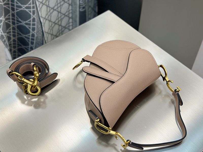 Dior Saddle Handbag Small 002