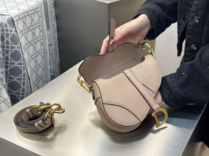 Dior Saddle Handbag Small 002