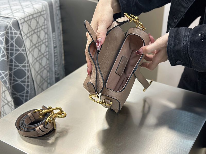 Dior Saddle Handbag Small 002