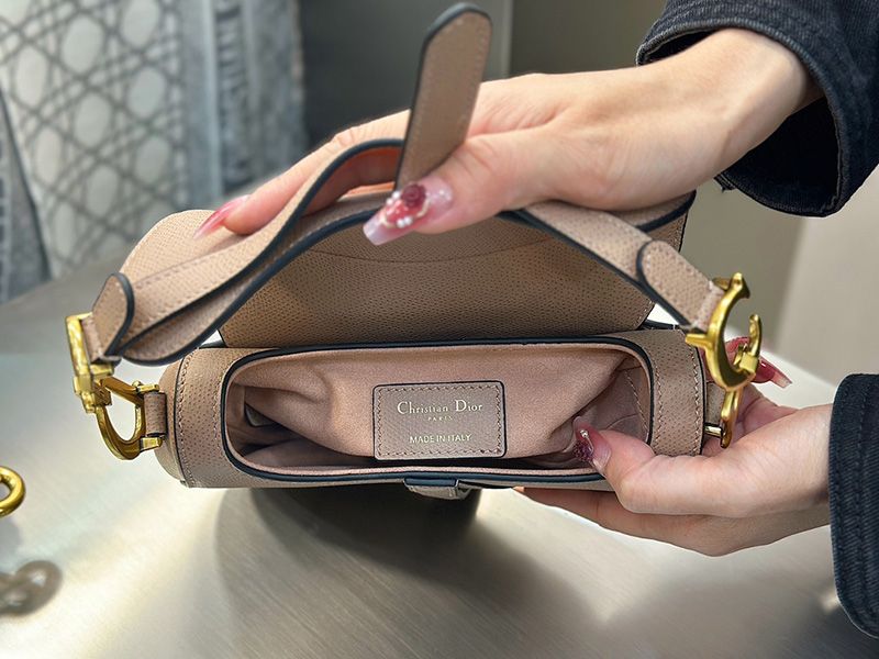 Dior Saddle Handbag Small 002