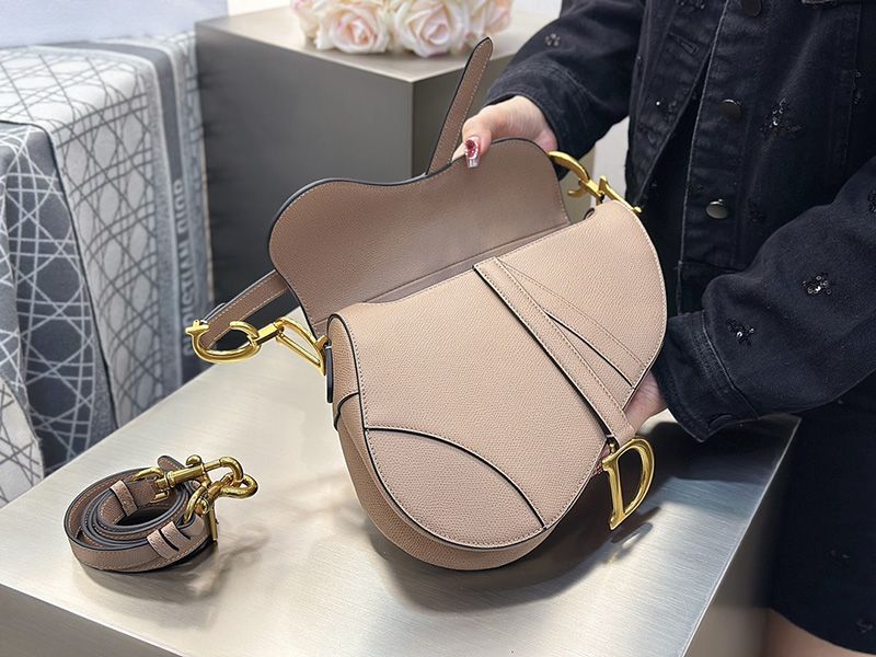Dior Saddle Handbag Medium 003