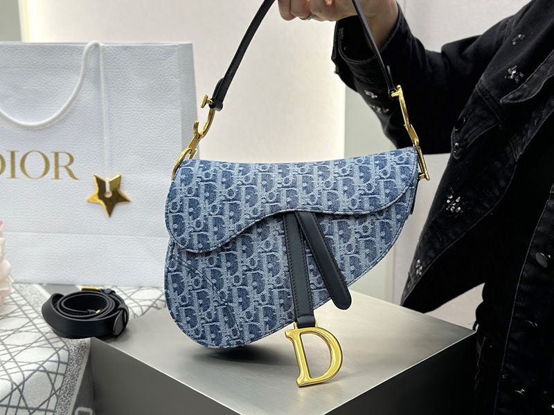 Dior Saddle Handbag 004