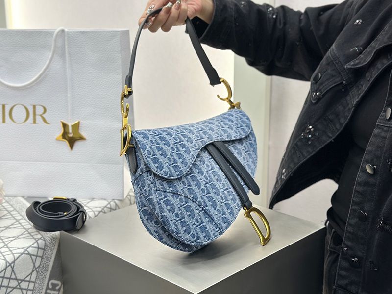 Dior Saddle Handbag 004