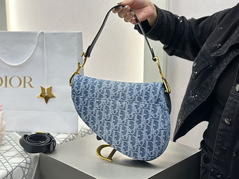 Dior Saddle Handbag 004