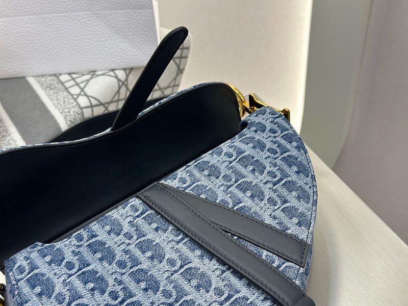 Dior Saddle Handbag 004