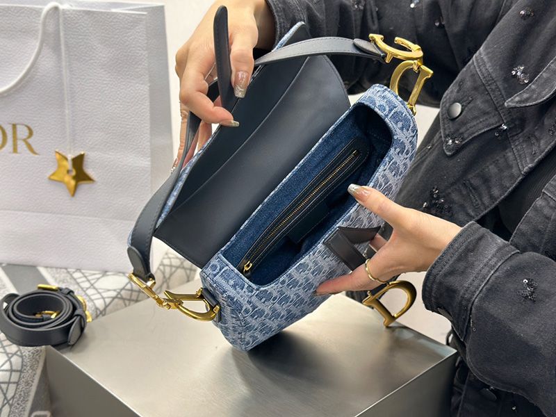 Dior Saddle Handbag 004