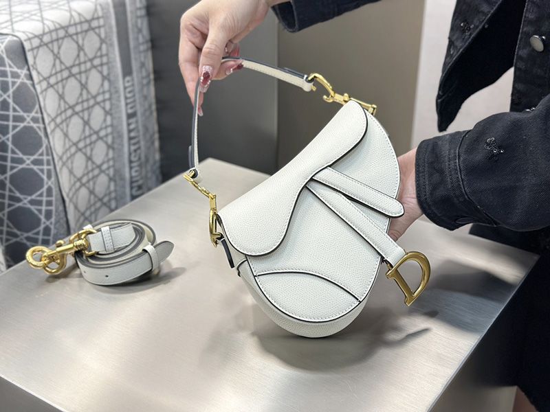 Dior Saddle Handbag Small 005