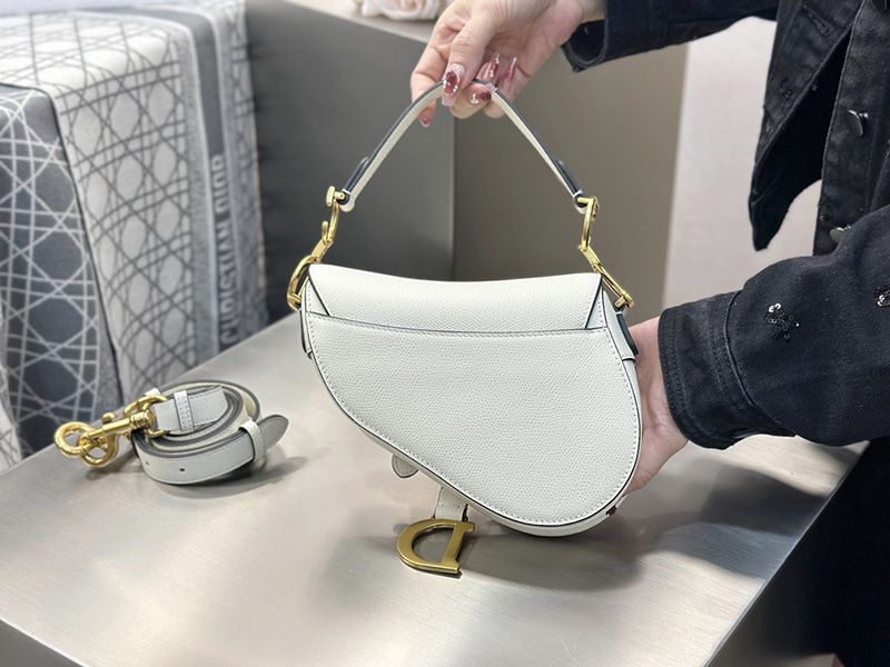 Dior Saddle Handbag Small 005