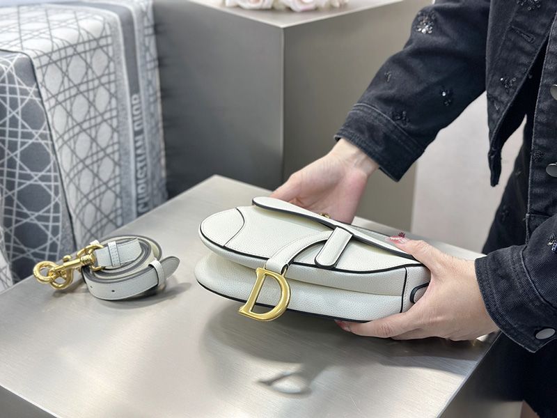 Dior Saddle Handbag Small 005