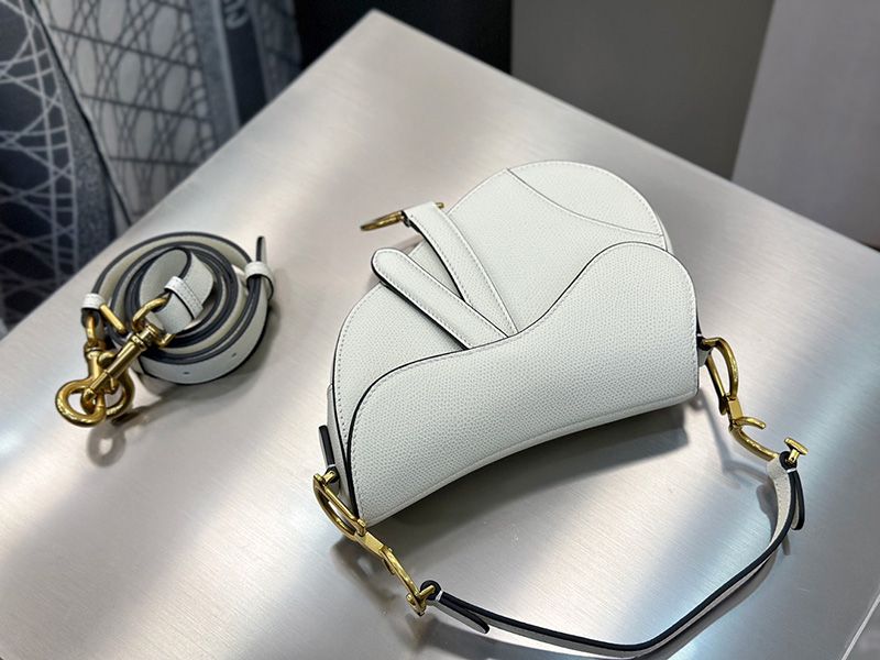 Dior Saddle Handbag Small 005