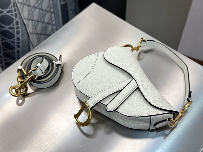 Dior Saddle Handbag Small 005
