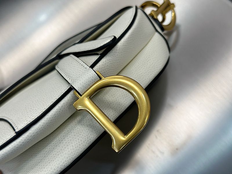 Dior Saddle Handbag Small 005