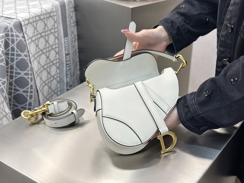 Dior Saddle Handbag Small 005