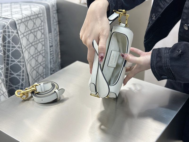 Dior Saddle Handbag Small 005