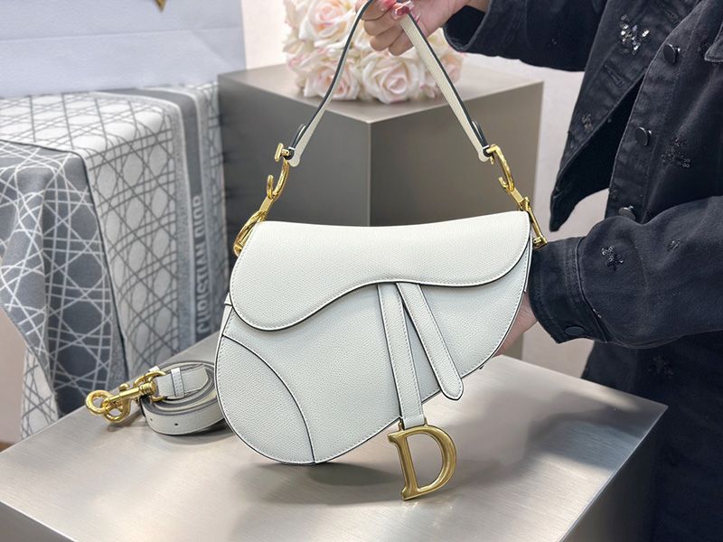 Dior Saddle Handbag Medium 006