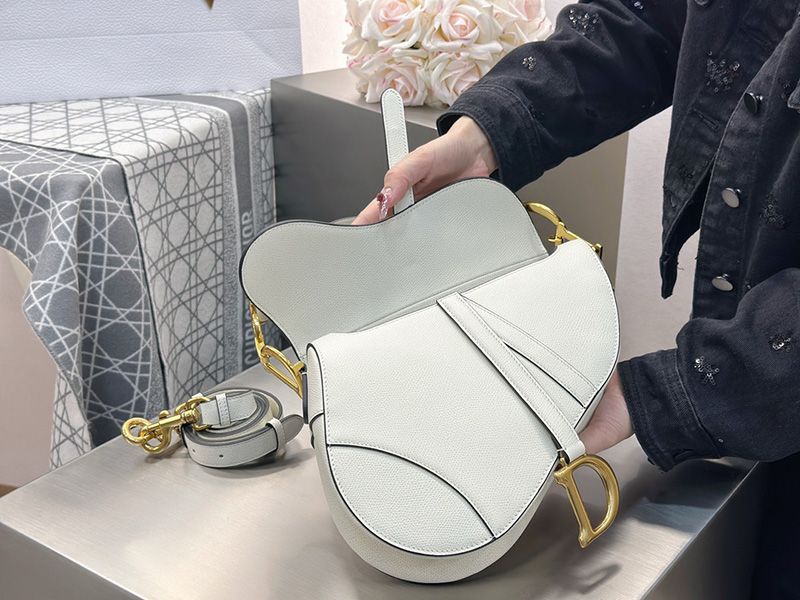 Dior Saddle Handbag Medium 006