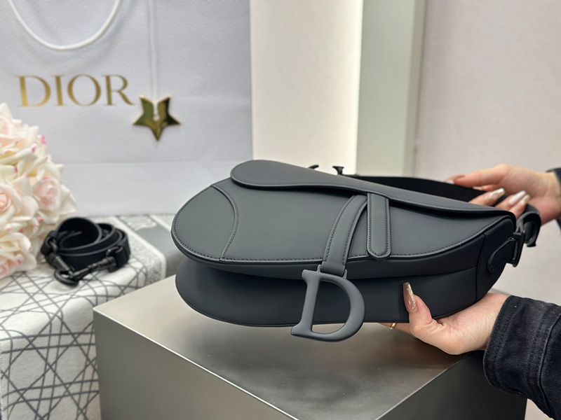 Dior Saddle Handbag Medium 008