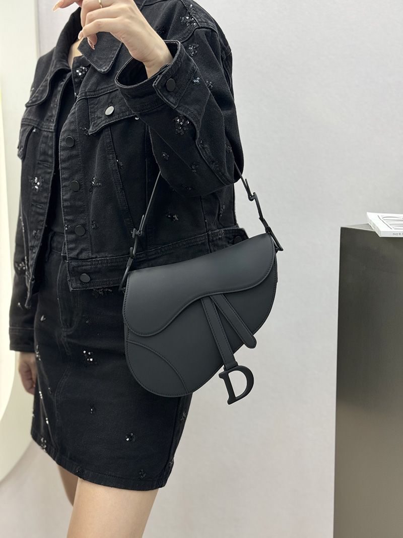 Dior Saddle Handbag Medium 008