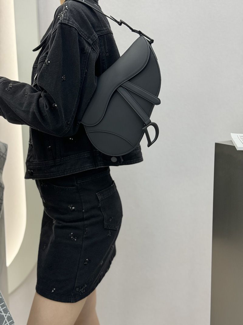 Dior Saddle Handbag Medium 008