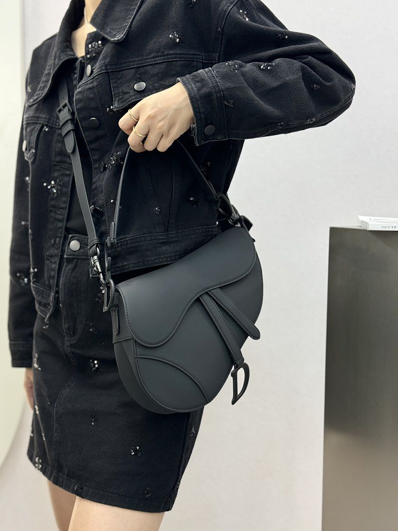 Dior Saddle Handbag Medium 008