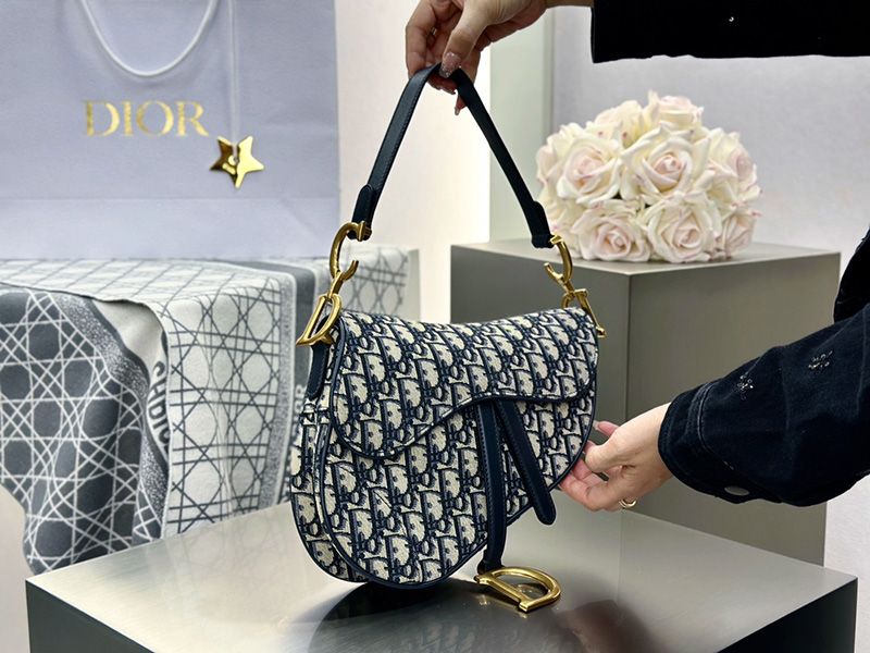 Dior Saddle Handbag Medium 009