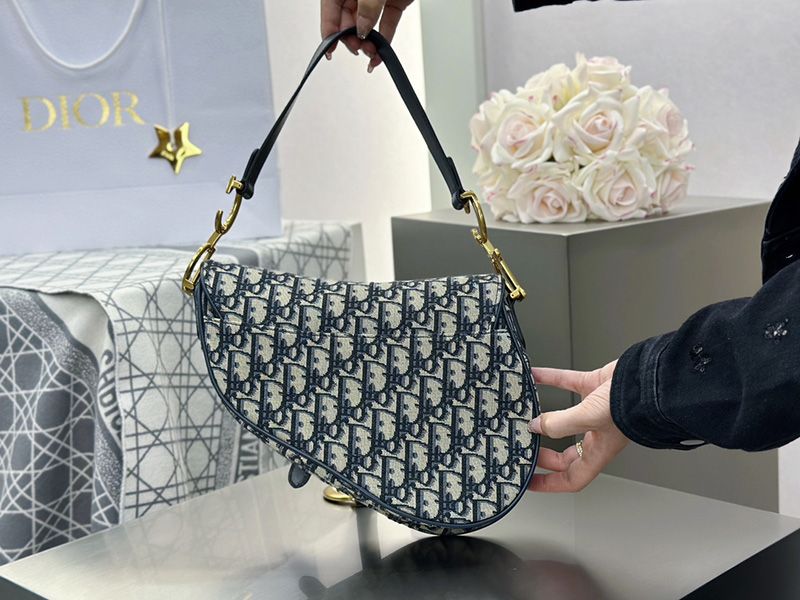 Dior Saddle Handbag Medium 009