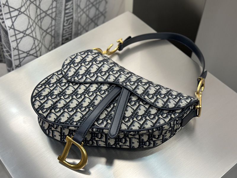 Dior Saddle Handbag Medium 009