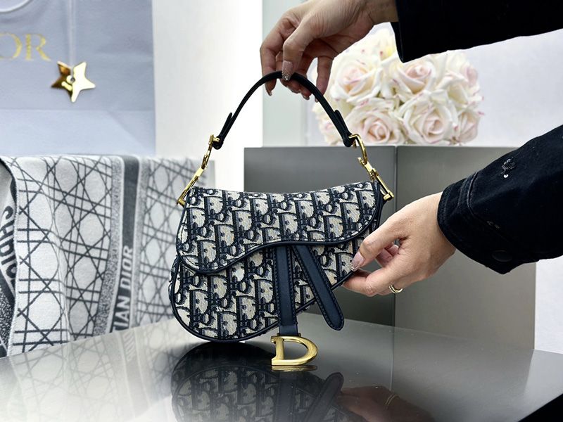 Dior Saddle Handbag Small 010