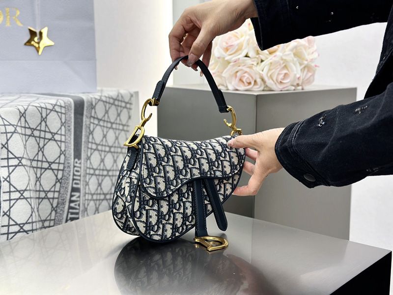 Dior Saddle Handbag Small 010