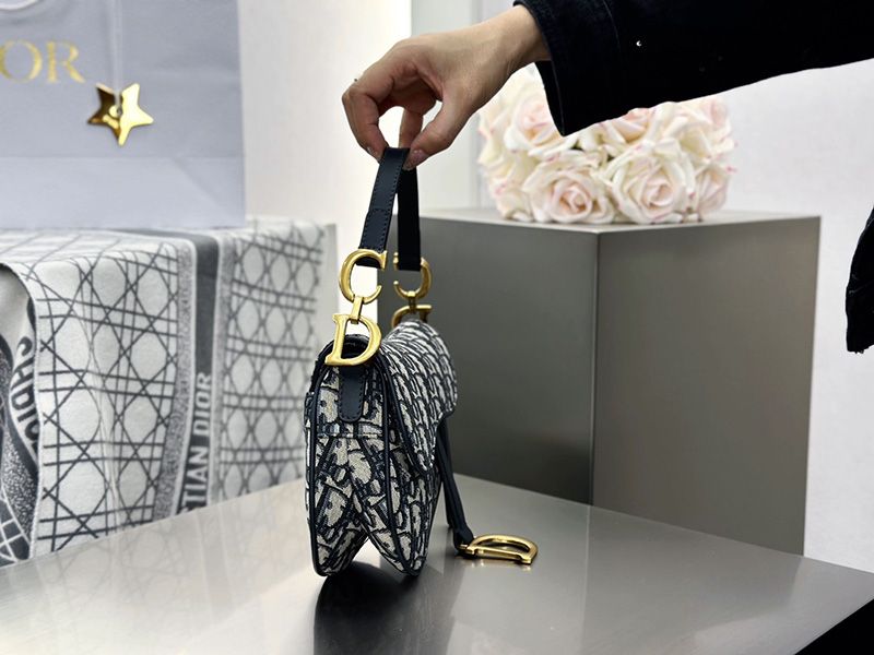 Dior Saddle Handbag Small 010