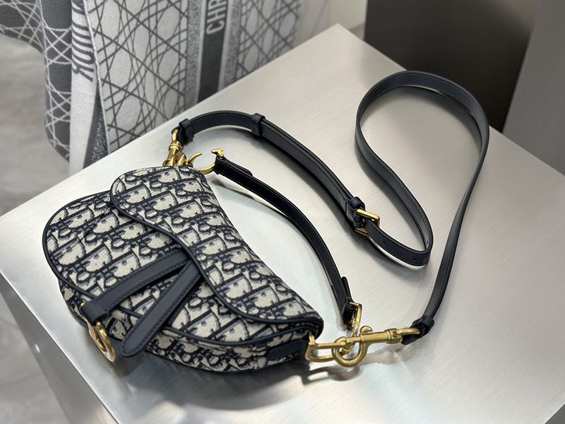 Dior Saddle Handbag Small 010