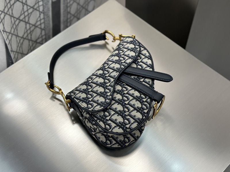 Dior Saddle Handbag Small 010