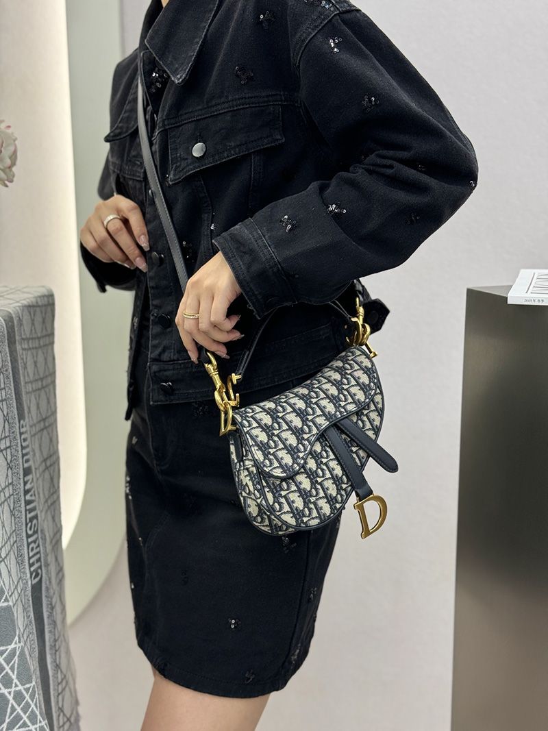 Dior Saddle Handbag Small 010