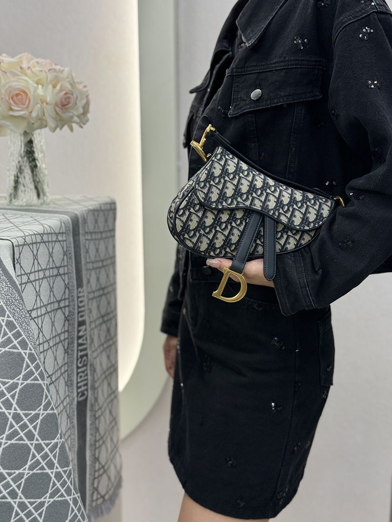 Dior Saddle Handbag Small 010