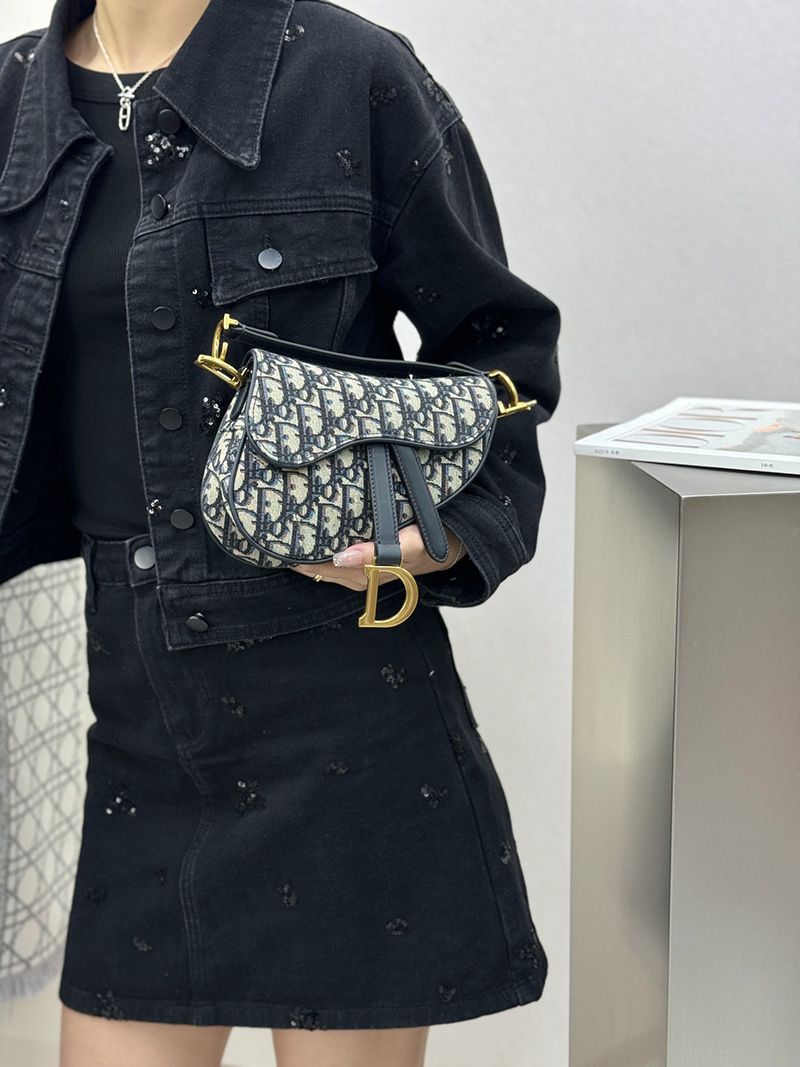 Dior Saddle Handbag Small 010