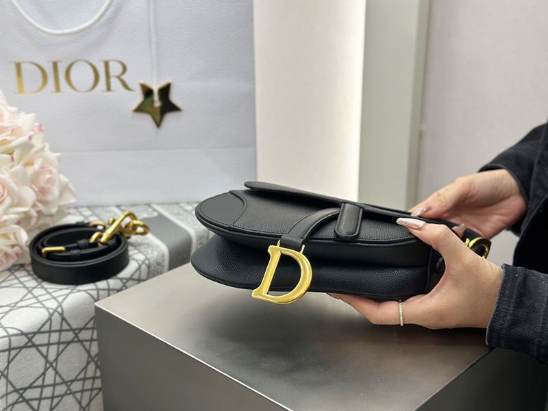 Dior Saddle Handbag Small 011