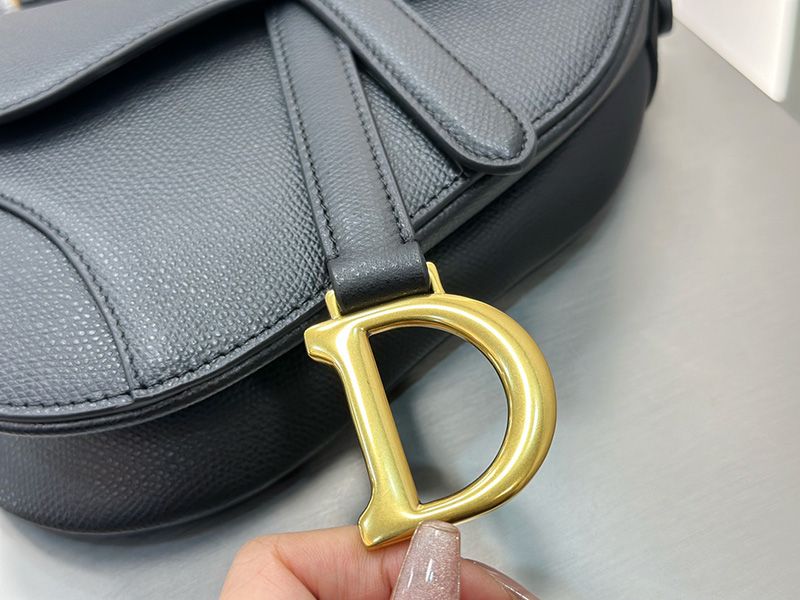 Dior Saddle Handbag Small 011