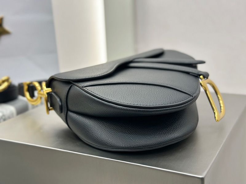 Dior Saddle Handbag Medium 012