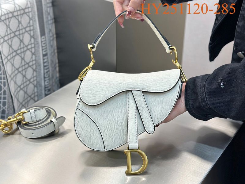 Dior Saddle Handbag Small 005