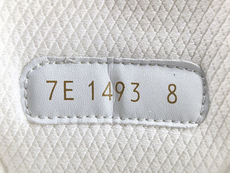 LV Trainer Sneaker 133