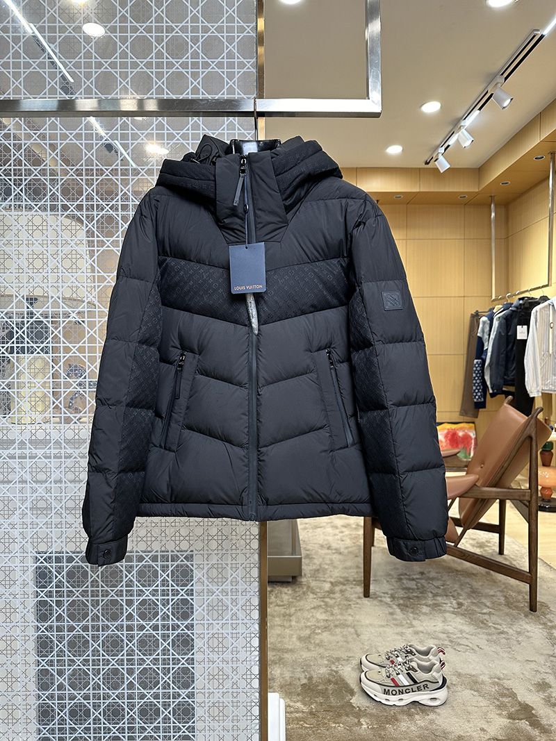 LV Down jacket 101