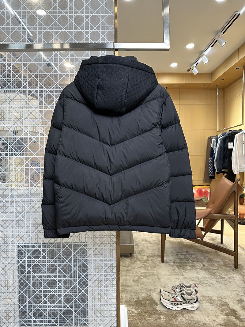 LV Down jacket 101