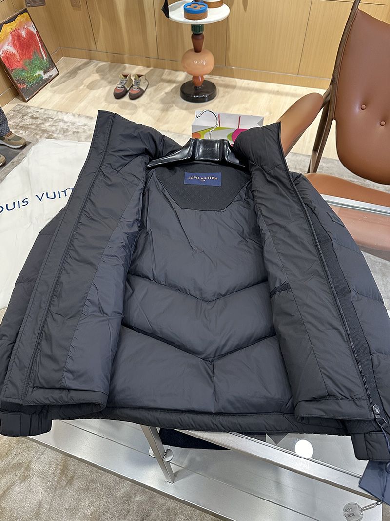 LV Down jacket 101